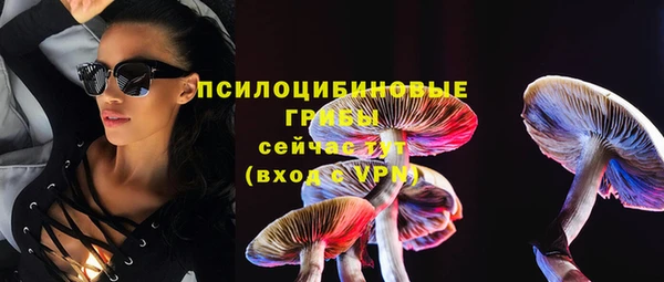 герыч Новодвинск