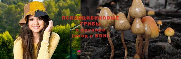гашиш Абаза