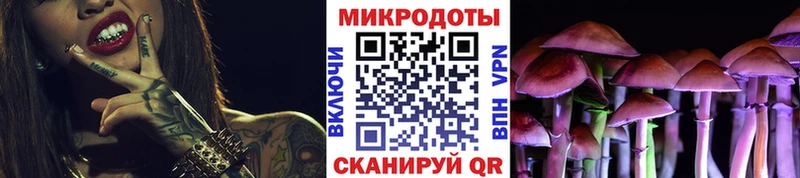 KRAKEN онион  Приморско-Ахтарск  Псилоцибиновые грибы Cubensis  как найти наркотики 